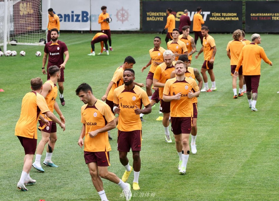 往往会选择 往往会选择